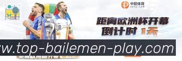 登录器